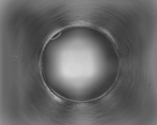 X0000067921387200604201419