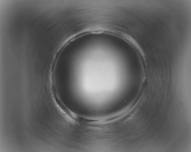 X0000067921388200604201419