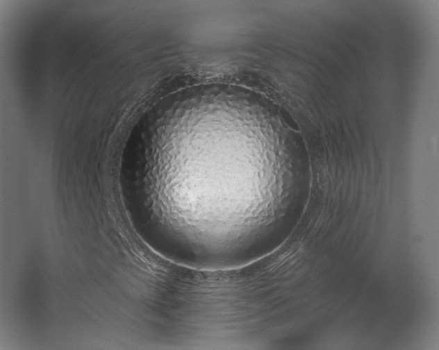 X0000067921393200604201418