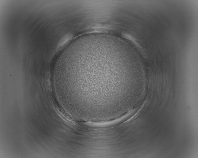 X0000067921403200604201418