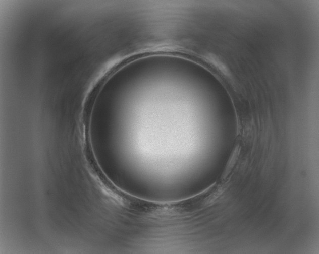 X0000067921414200604201418