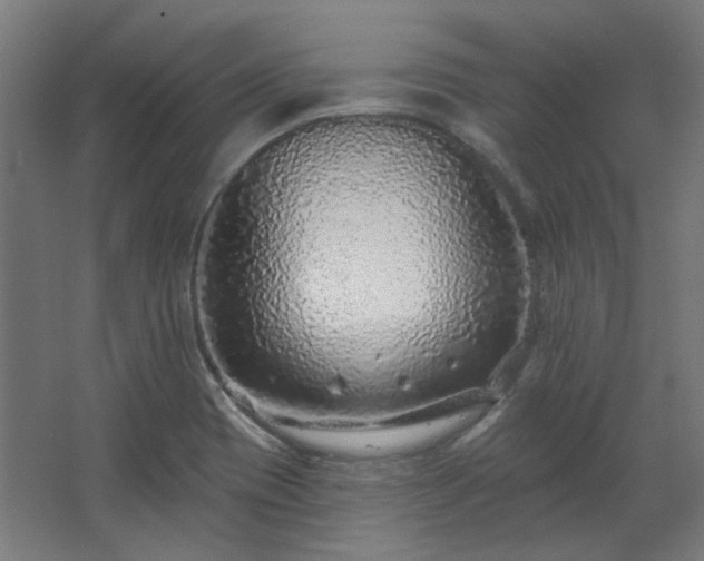 X0000067921417200604201418