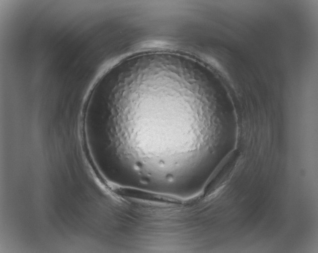 X0000067921421200604201419