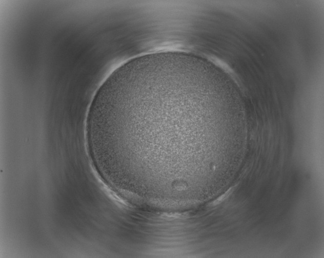 X0000067921423200604201419