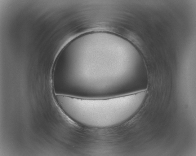 X0000067921428200604201419