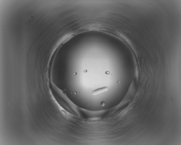 X0000067921434200604201419