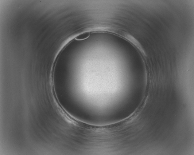 X0000067921436200604201419