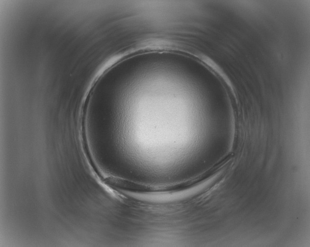 X0000067921437200604201419