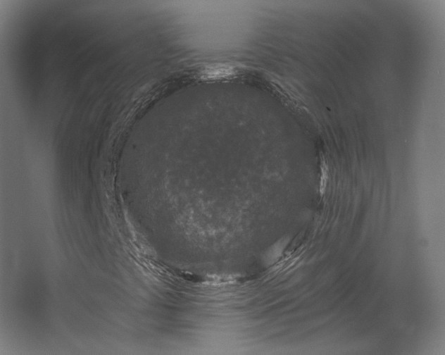 X0000067921441200604201418
