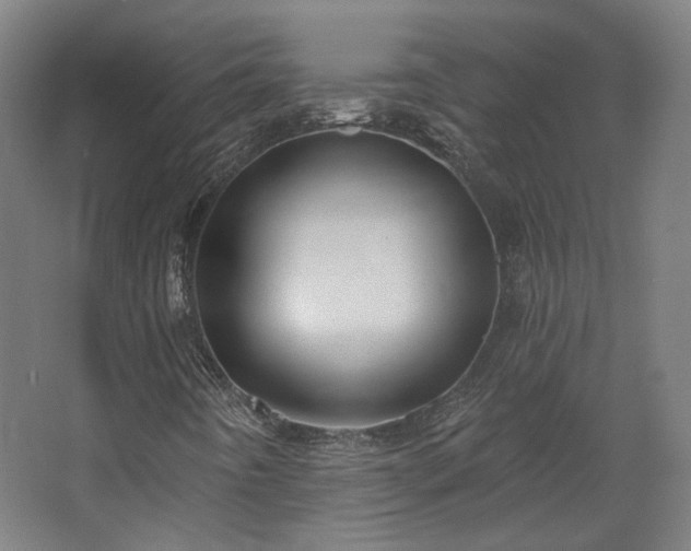 X0000067921442200604201418