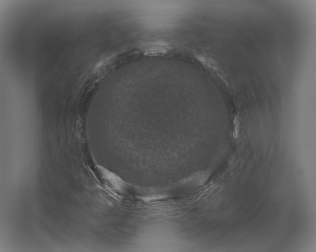 X0000067921445200604201418