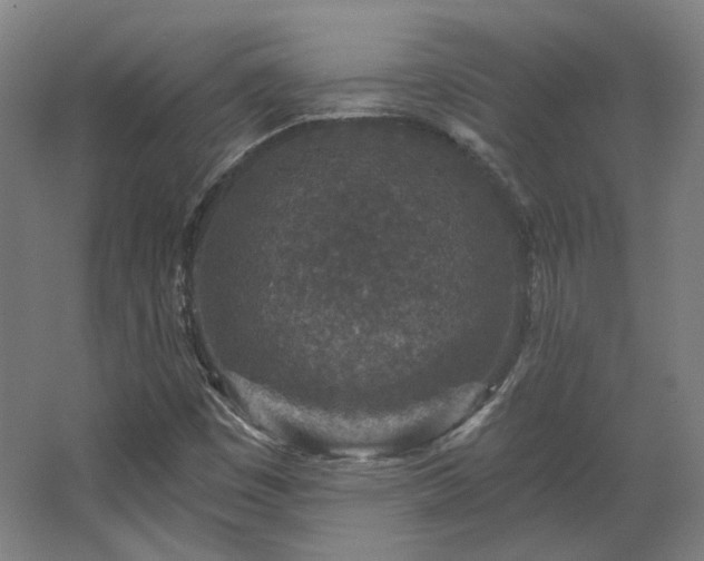 X0000067921449200604201418