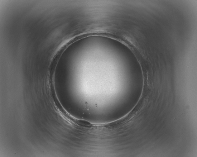 X0000067921452200604201418