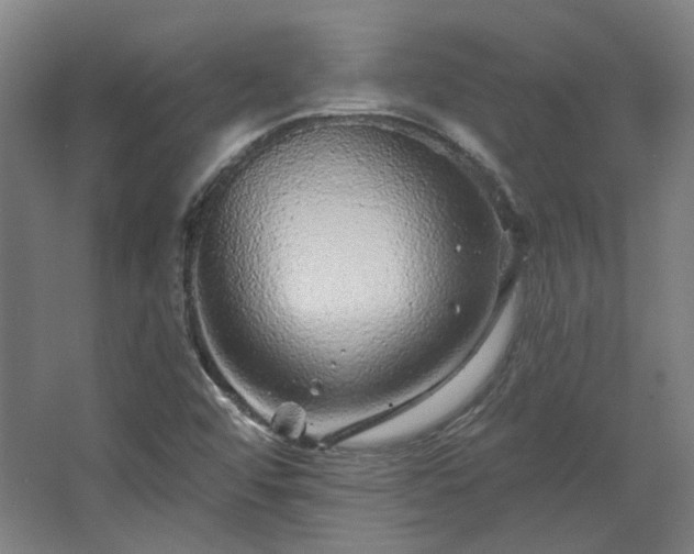 X0000067921456200604201418