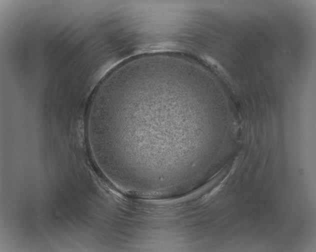 X0000067921457200604201418