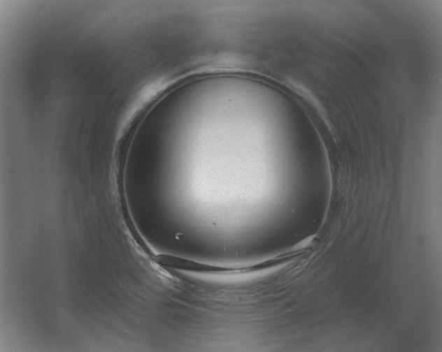 X0000067921464200604201418