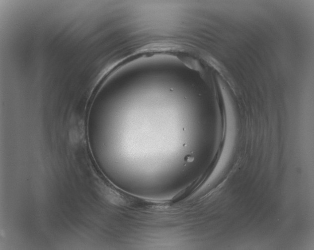 X0000067921465200604201418