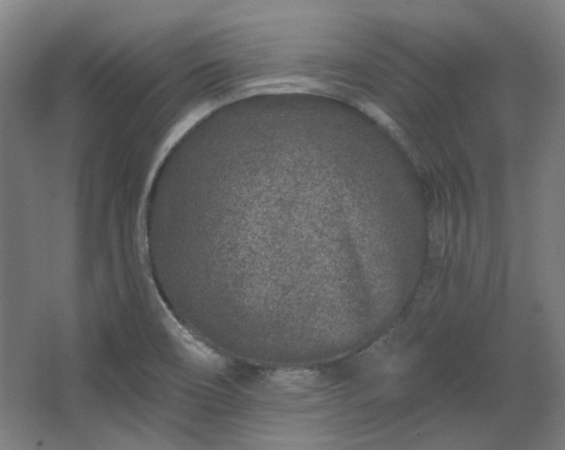 X0000067921466200604201418