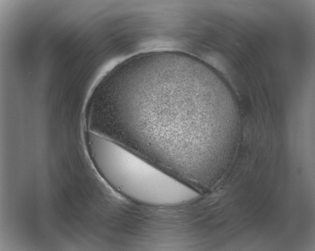 X0000067921472200604201418