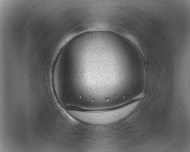 X0000067921480200604201417