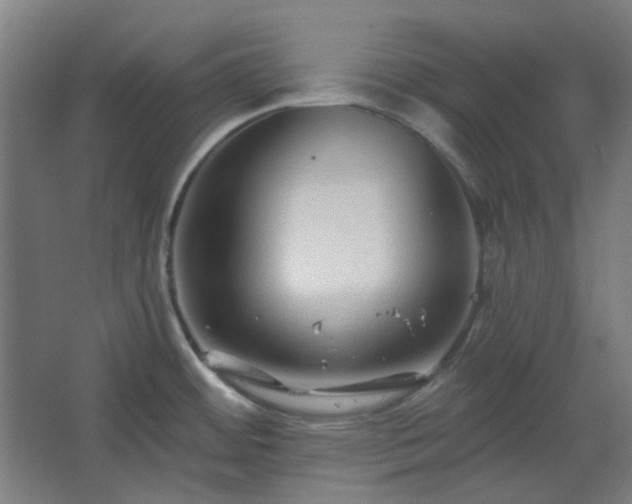 X0000067921484200604201417