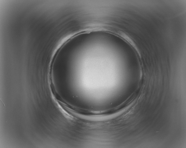 X0000067921485200604201417