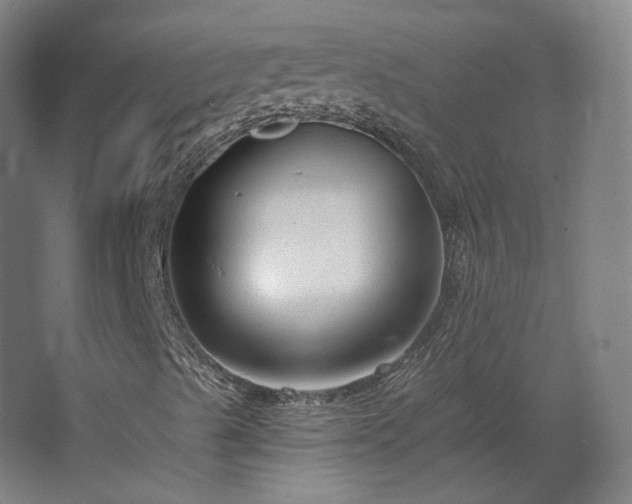 X0000067921489200604201416