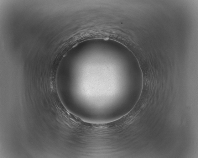 X0000067921490200604201416