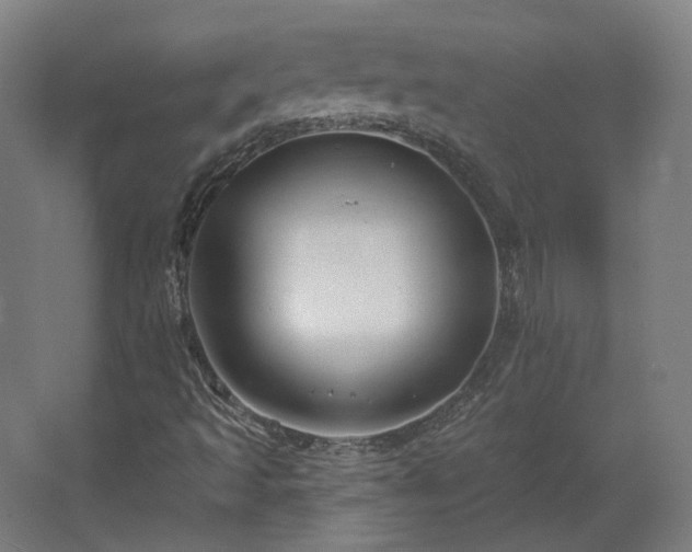 X0000067921493200604201417