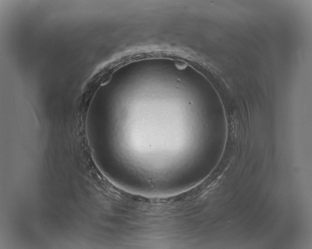 X0000067921494200604201417