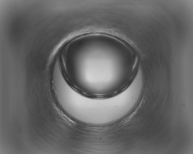 X0000067921502200604201417