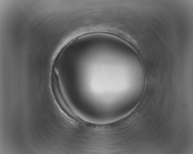 X0000067921512200604201417