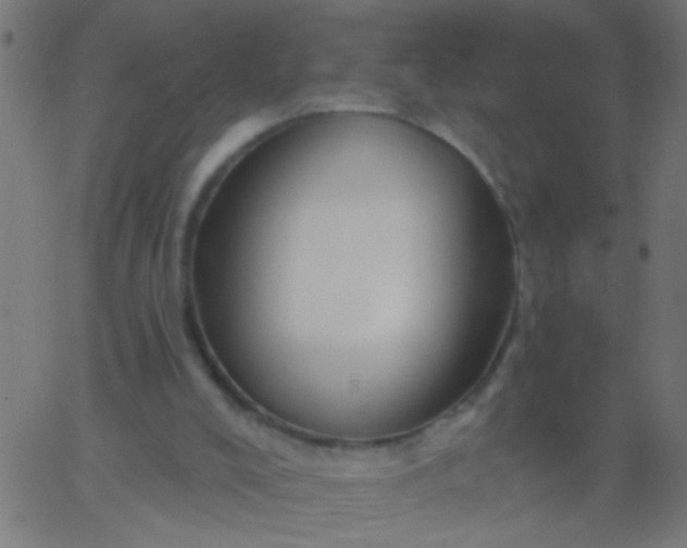 X0000067920008200604271955