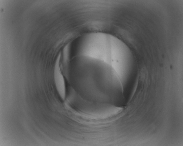 X0000067920027200604271955