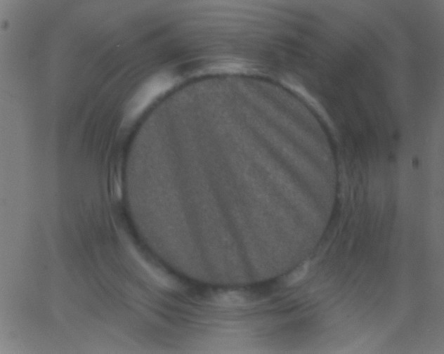 X0000067920062200604271954
