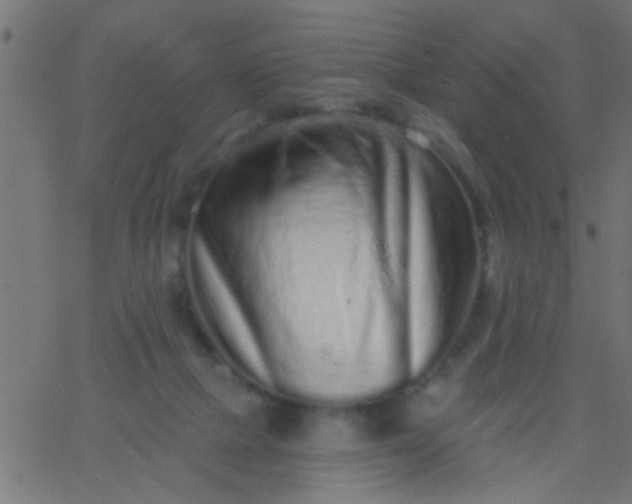 X0000067920073200604271954