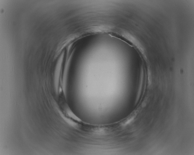X0000067920105200604271953