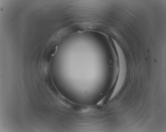 X0000067920125200604271953