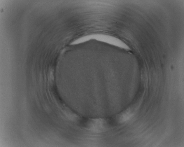 X0000067920127200604271953