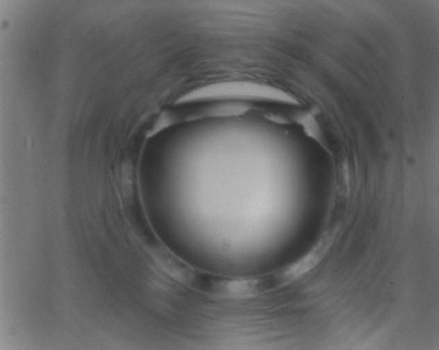 X0000067920184200604271953