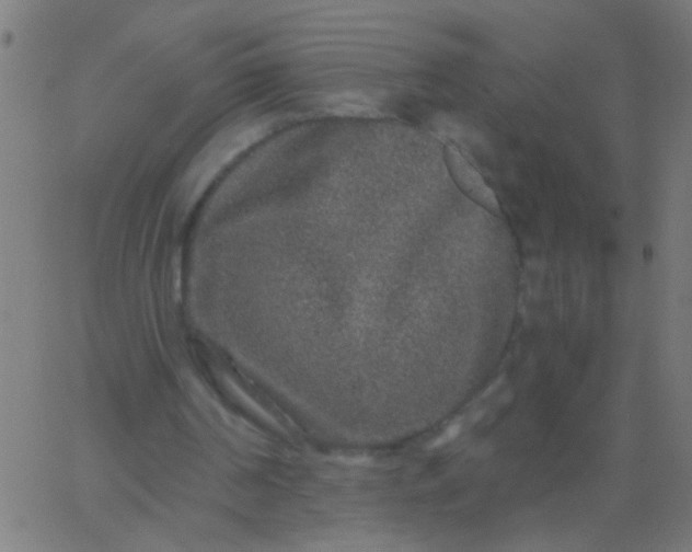 X0000067920194200604271952