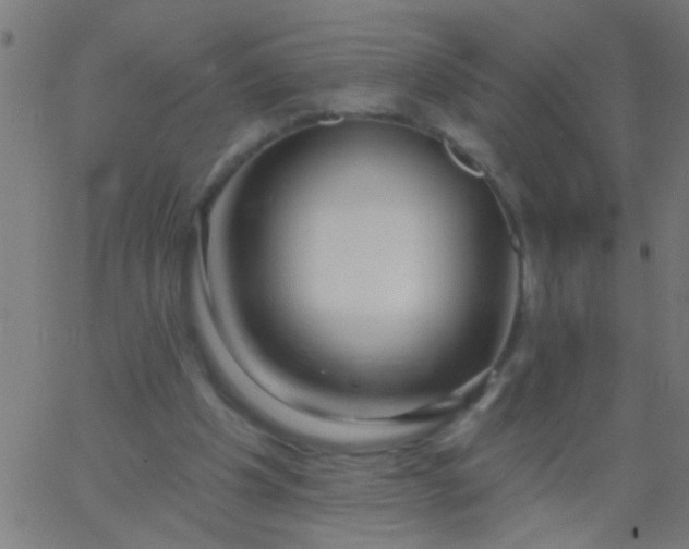 X0000067920201200604271952