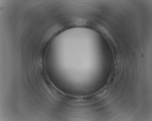 X0000067920212200604271952