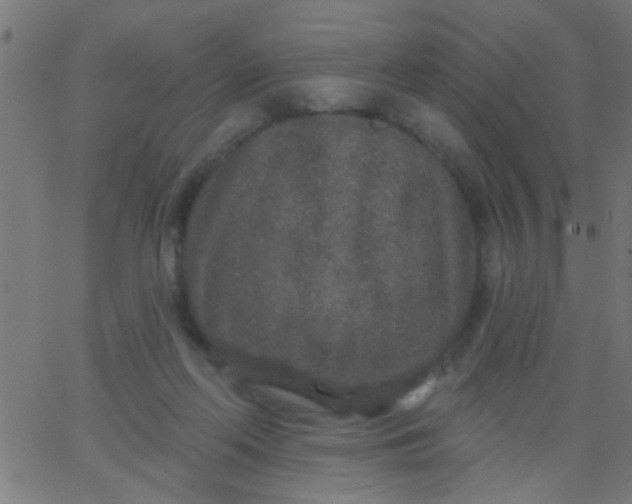 X0000067920214200604271952