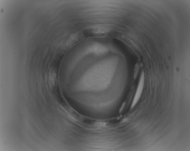 X0000067920227200604271951