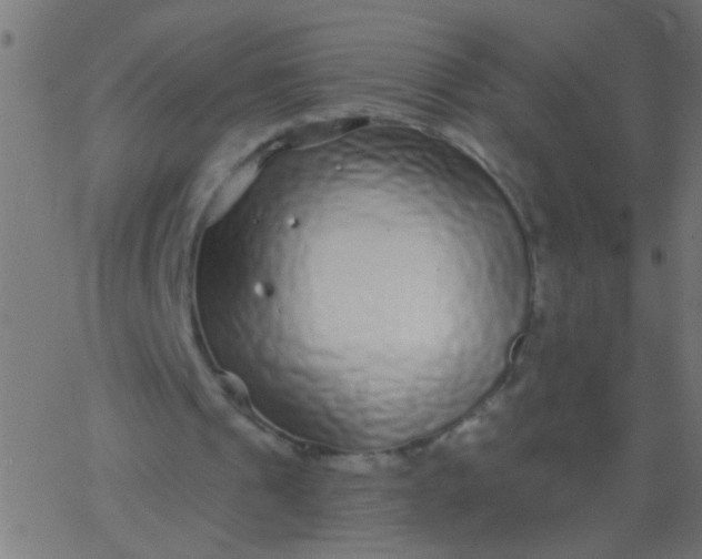 X0000067920241200604271950