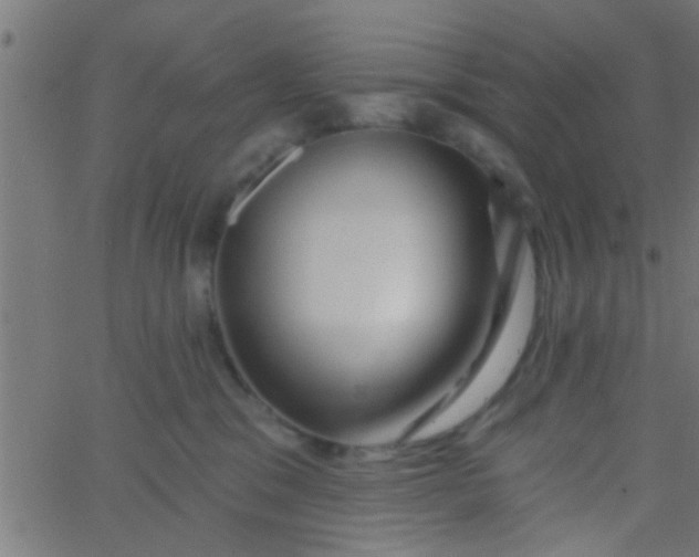 X0000067920329200604271950