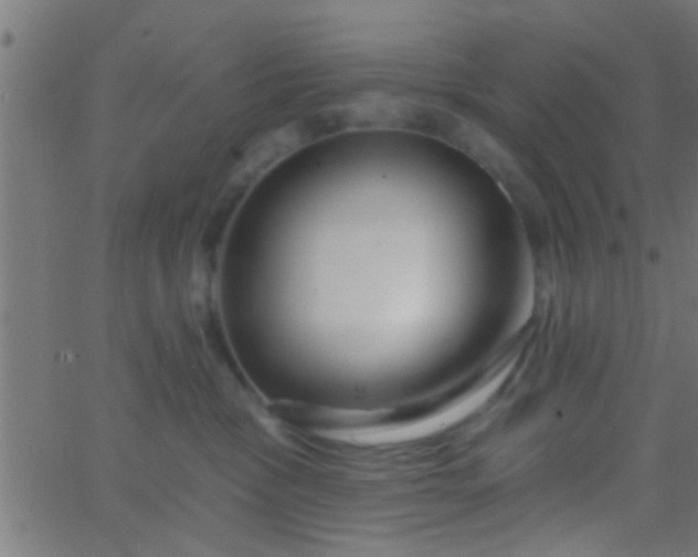 X0000067920333200604271950