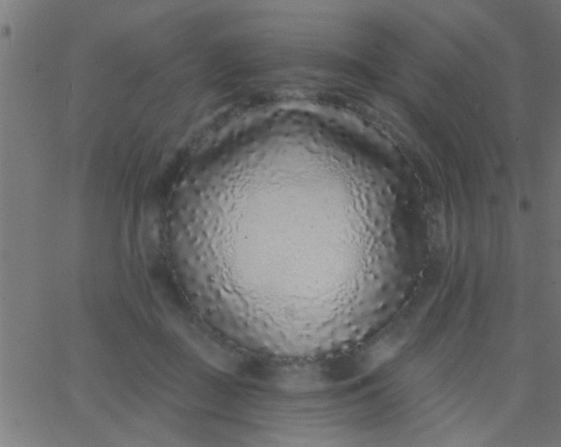 X0000067920363200604271949
