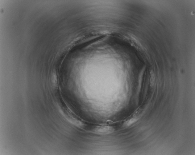 X0000067920459200604271948